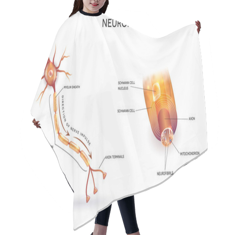 Personality  Neuron And Myelin Sheath Hair Cutting Cape