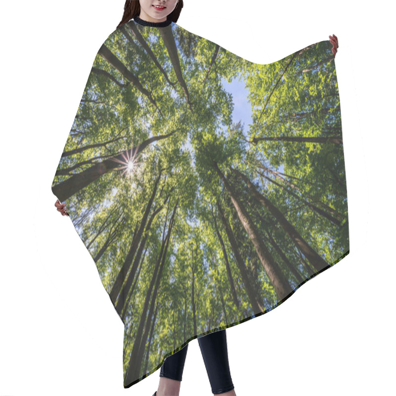 Personality  Trees In A Forest From Below With The Sun Ultra Wide Hair Cutting Cape