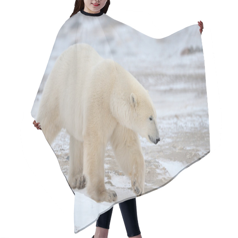 Personality  Polar Bear Hair Cutting Cape