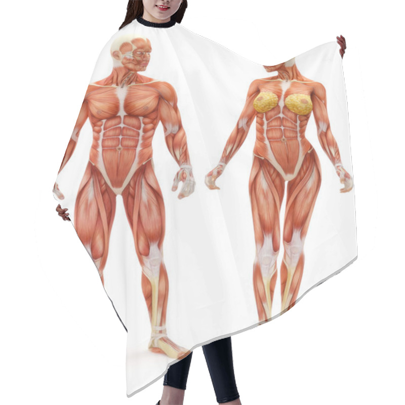 Personality  Male And Female Musculoskeletal System Hair Cutting Cape