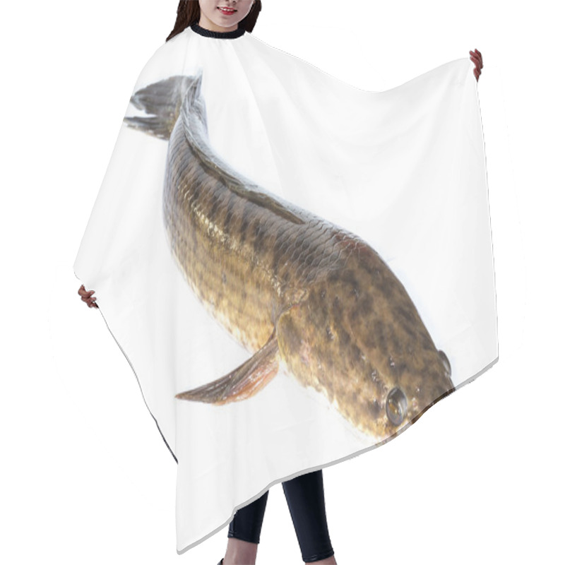 Personality  Giant Snakehead Fish Hair Cutting Cape