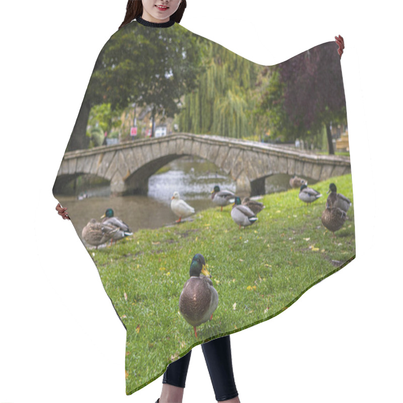 Personality  Ducks Relaxing On The Banks Of The River Windrush In The Village Of Bourton-on-the-Water In Gloucestershire, UK. Hair Cutting Cape