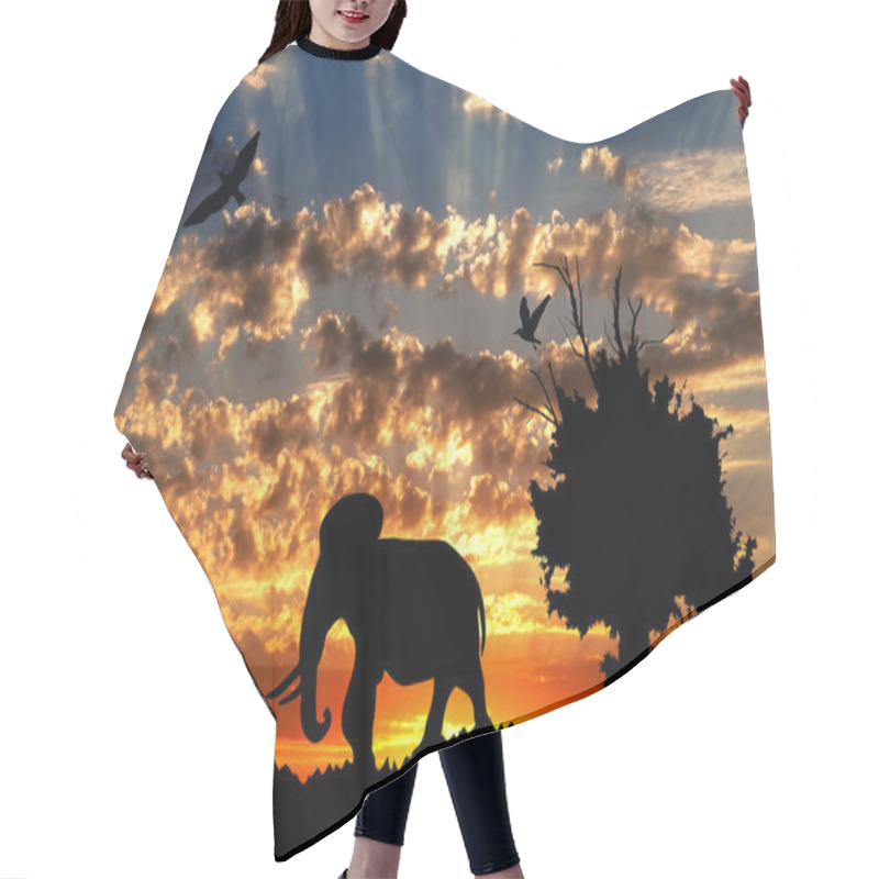 Personality  Jungle With Old Tree, Birds And Elephant On Golden Cloudy Sunset Background Hair Cutting Cape