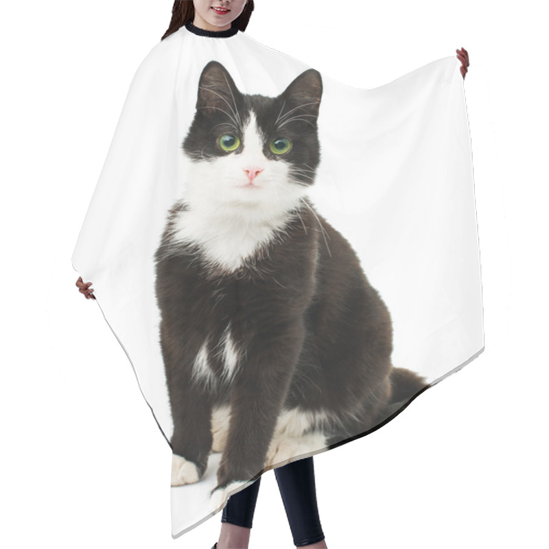 Personality  Black & White Cat  Hair Cutting Cape