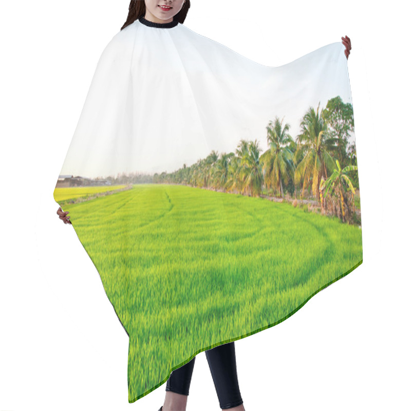 Personality  The Green Young Rice In The Field Rice Hair Cutting Cape