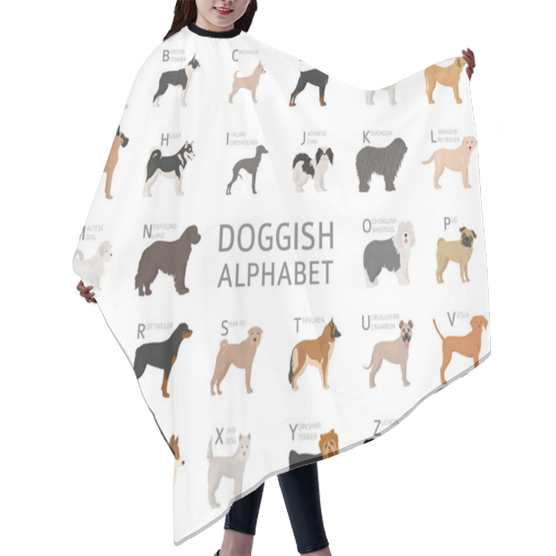 Personality  Doggish Alphabet For Dog Lovers. Letters Of The Alphabet With The Names Of The Dog Breeds. Vector Illustration Hair Cutting Cape