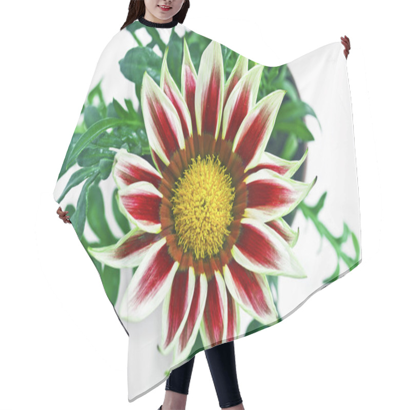 Personality  Red Gazania Flower Hair Cutting Cape