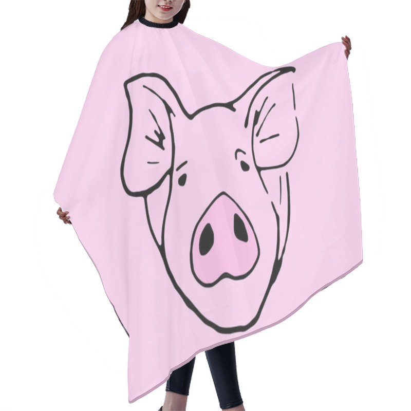 Personality  Muzzle Pig Close Up On A White Background. Sketch. Hair Cutting Cape