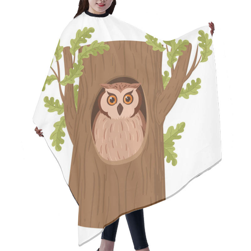 Personality  Cartoon Owl Sitting In Tree Hollow. Forest Owl Bird Sit In Woods House, Wildlife Bird Oak Nests Flat Vector Illustration Set On White Background Hair Cutting Cape