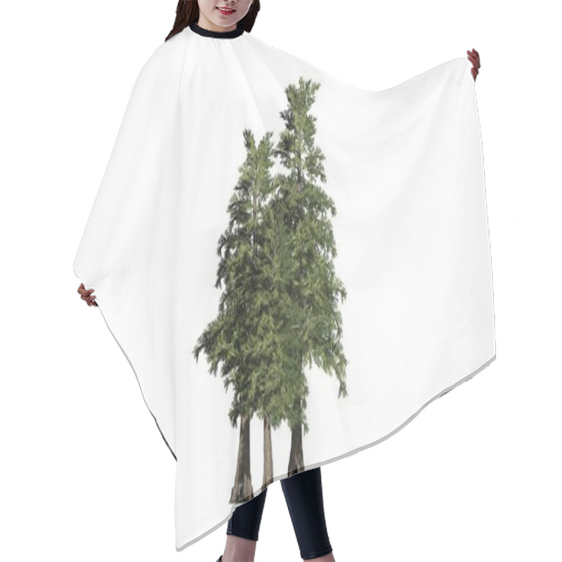 Personality  Western Red Cedar Tree Cluster - Isolated On White Background Hair Cutting Cape