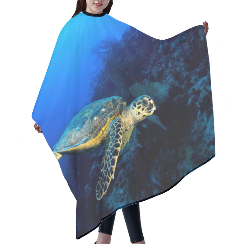 Personality  Hawksbill Turtle Hair Cutting Cape