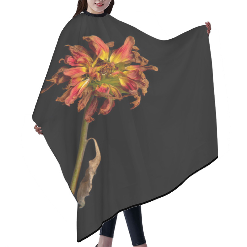 Personality  Dying Yellow Dahlia Flower Hair Cutting Cape