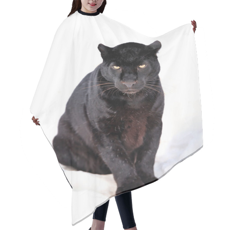 Personality  Leopard Portrait Hair Cutting Cape