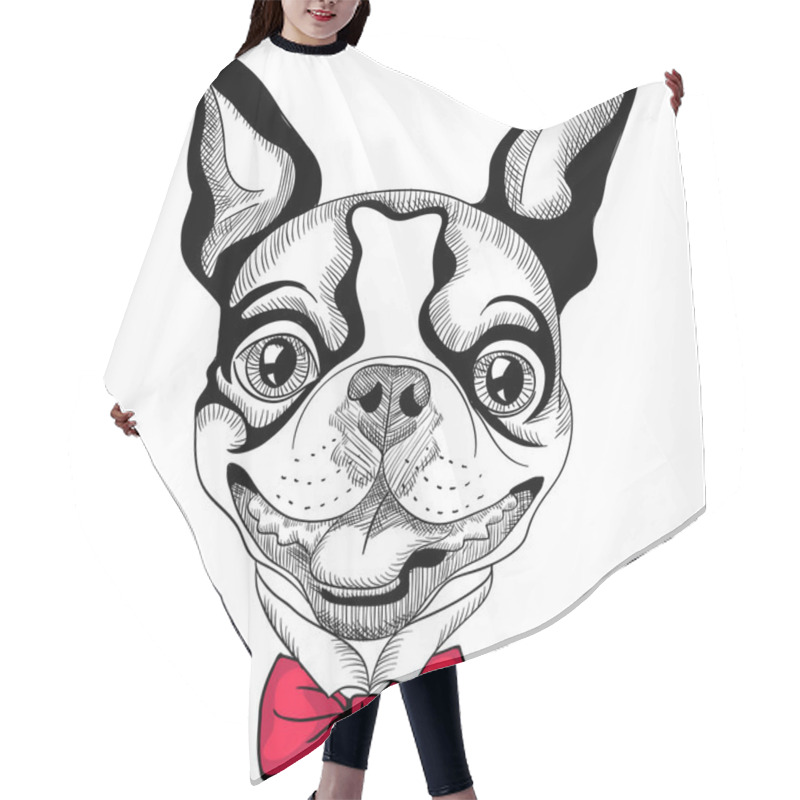 Personality  Funny Cartoon Hipster Boston Terrier Breed Smiling Hair Cutting Cape