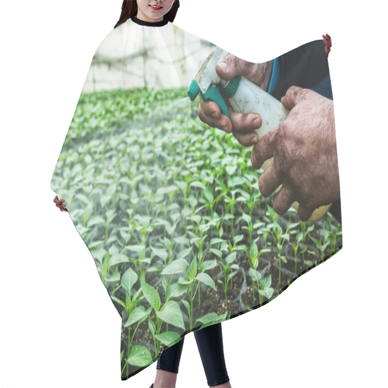 Personality  Close Up In The Hands Of A Man While Spraying The Small Plants I Hair Cutting Cape