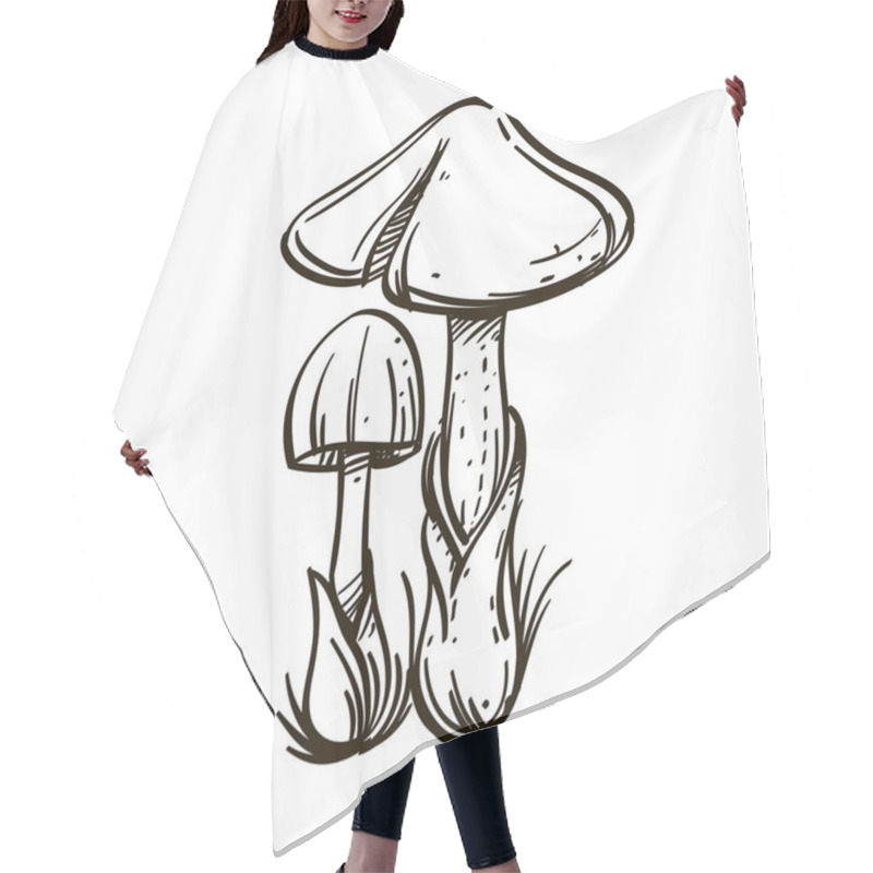 Personality  Mushrooms Umbrellas, Toadstools. Outline Vector Illustration Isolated On White Background. Hair Cutting Cape