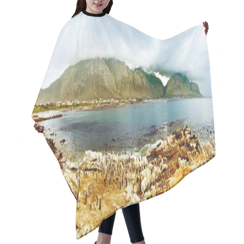 Personality  Panoramic Landscape With Penguins Hair Cutting Cape