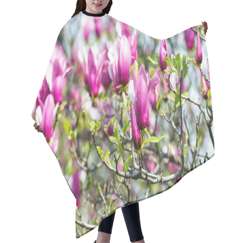 Personality  Magnolia Tree With Blossoming Purple Flowers Hair Cutting Cape