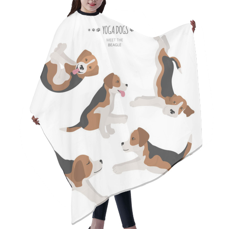 Personality  Yoga Dogs Poses And Exercises. Beagle Clipart Hair Cutting Cape