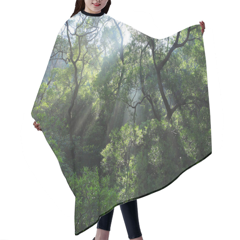 Personality  Tropical Forest In Morning Hair Cutting Cape