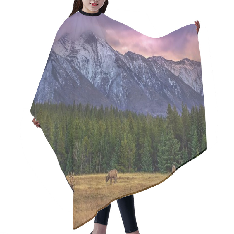 Personality  Elk Grazing In A Mountain Park At Sunrise Hair Cutting Cape