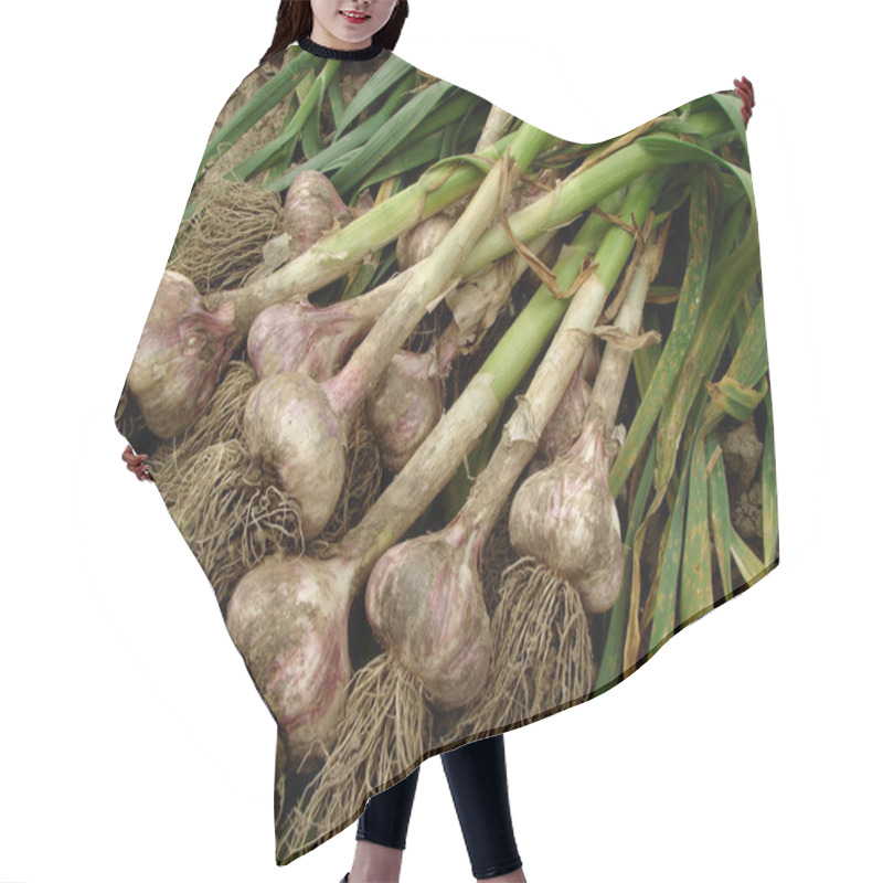 Personality  Garlic Hair Cutting Cape