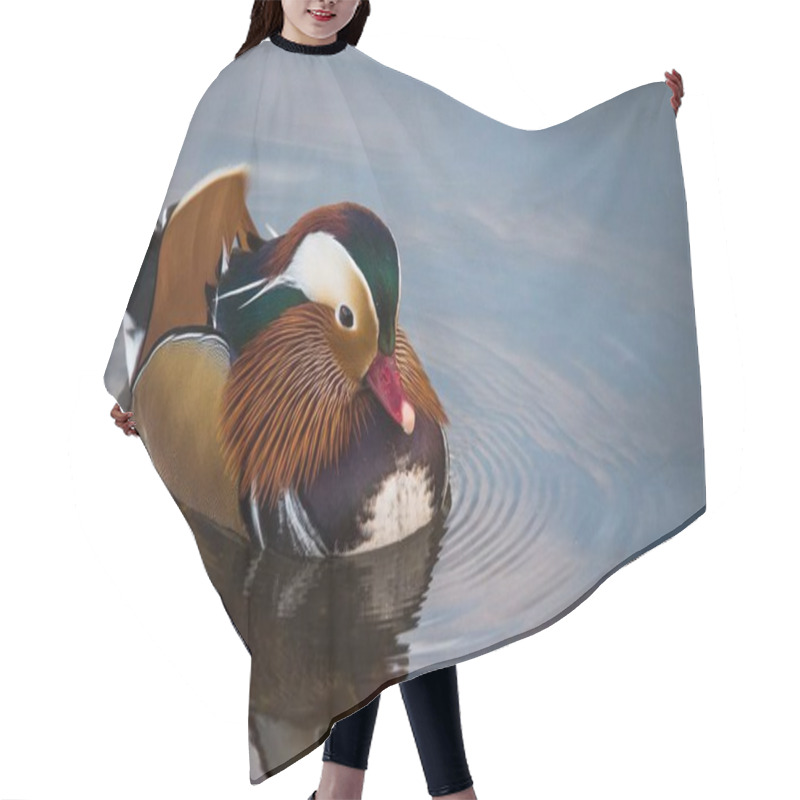 Personality  Mandarin Duck In Water  Hair Cutting Cape