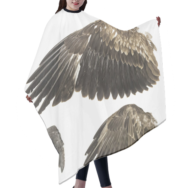 Personality  Wings Of Eagles Hair Cutting Cape