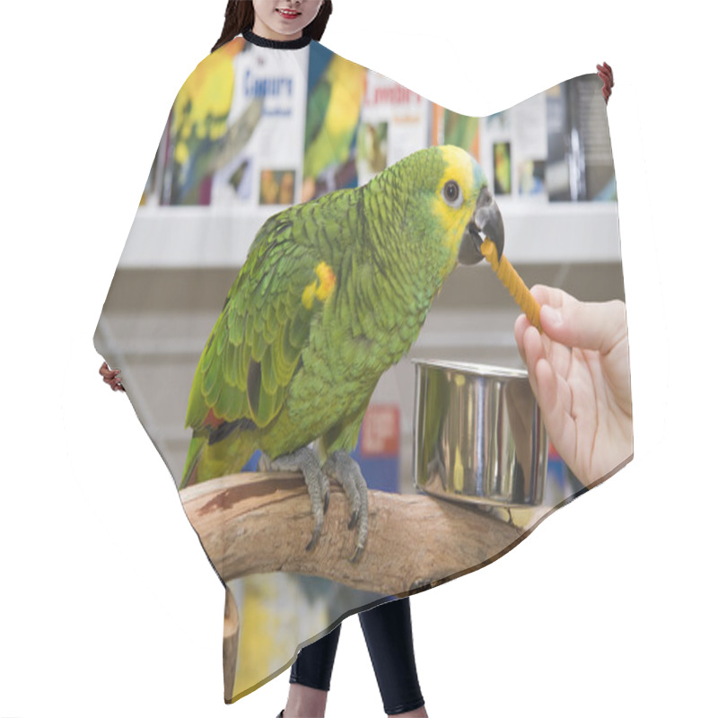 Personality  Amazon Parrot Hair Cutting Cape