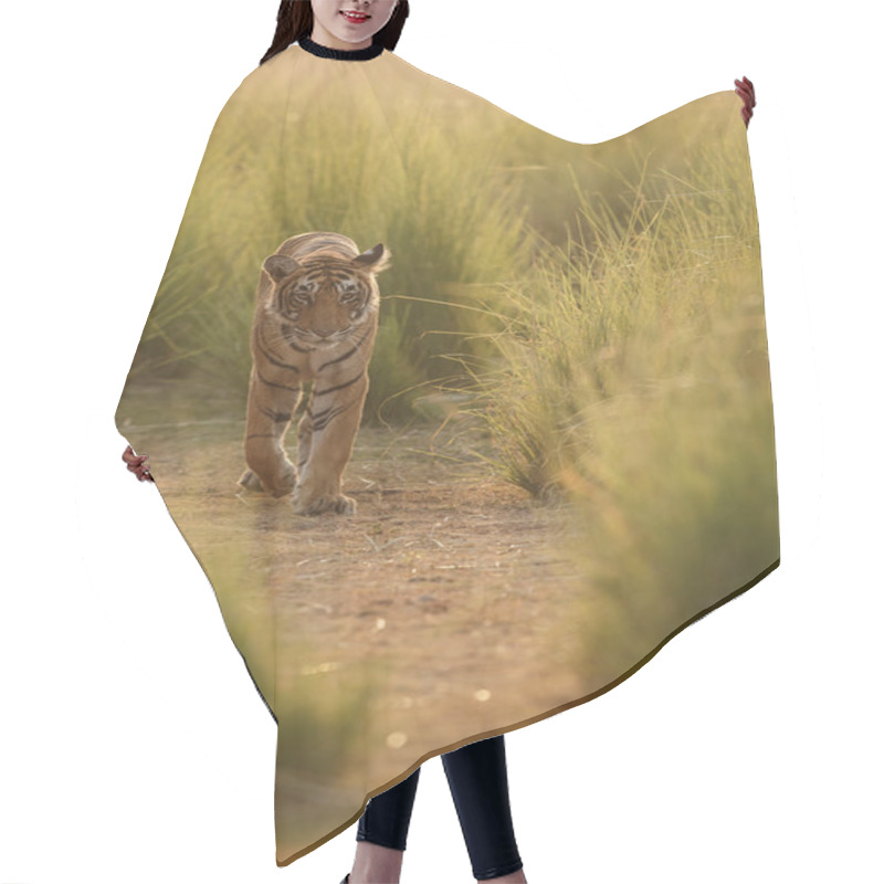 Personality  Walking Tiger Hair Cutting Cape