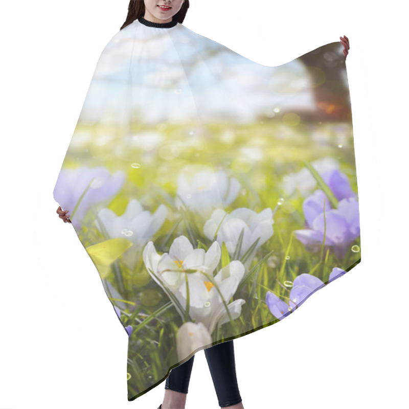 Personality  Abstract Sunny Beautiful Spring Background  Hair Cutting Cape