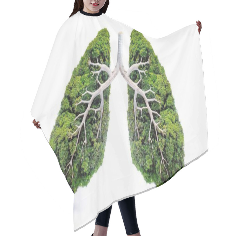 Personality  Green Trees Shaped Like Human Lungs Conceptual Image. Lungs Shape Island Isolated On White Background- Earth Day, World Health Or Environment  Hair Cutting Cape