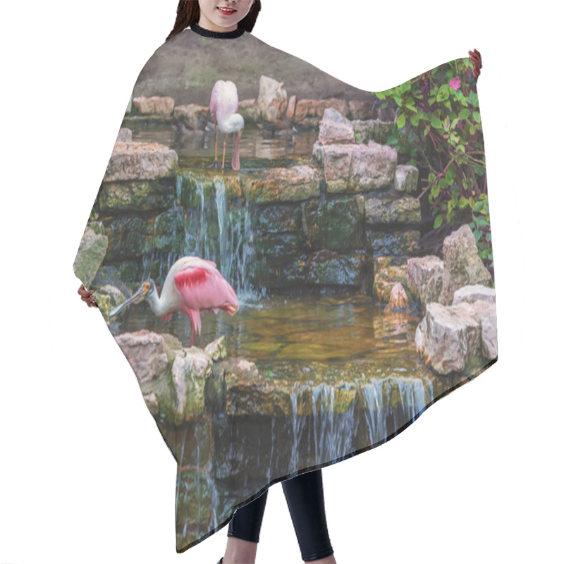 Personality  Rosy Spoonbill, Platalea Ajaja, A Flocking Wading Bird In A Small Picturesque Waterfall. Birds In Nature. Summer Landscape Hair Cutting Cape