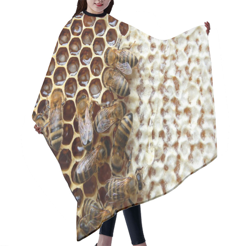 Personality  Bees On Honeycomb Hair Cutting Cape