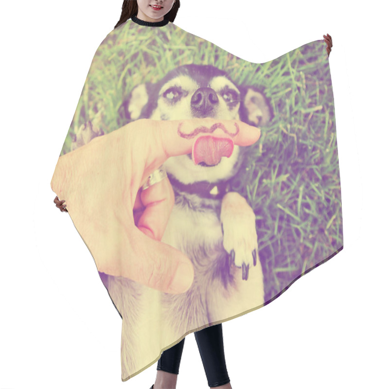 Personality  Chihuahua With Mustache Finger Hair Cutting Cape