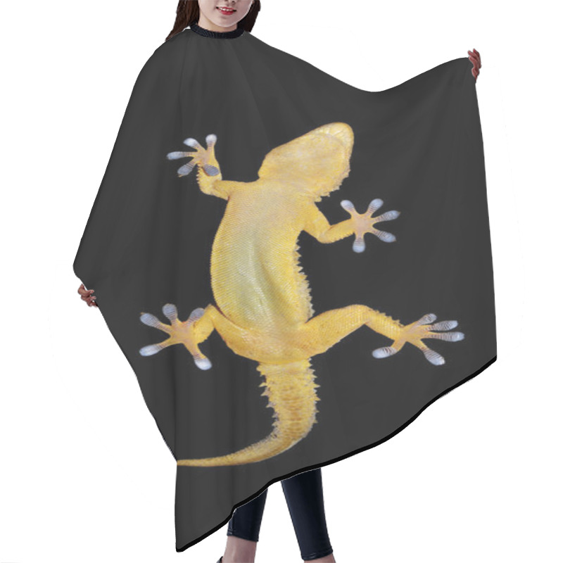 Personality  Gecko On Black Background Hair Cutting Cape