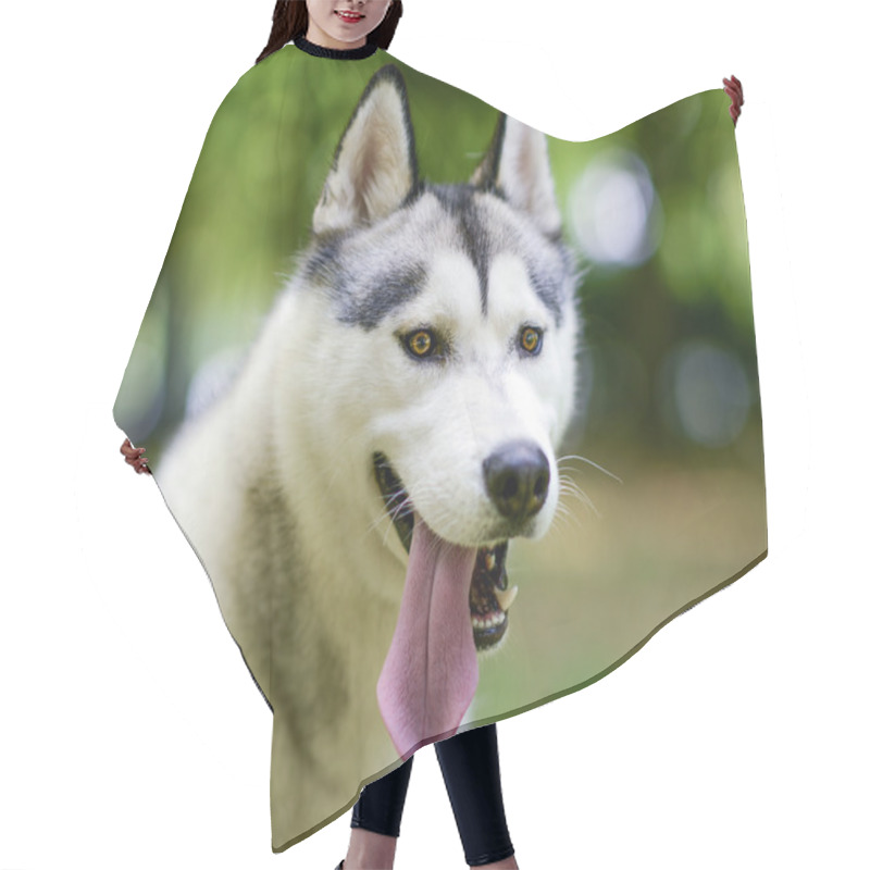 Personality  Husky Portrait Hair Cutting Cape