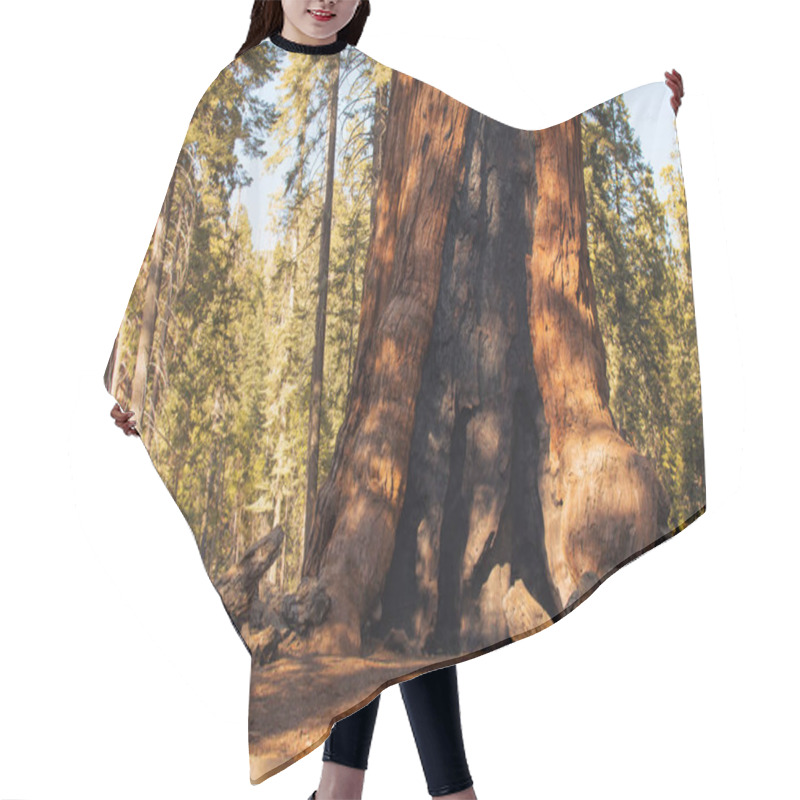 Personality  Autumnal Natural Landscape From Yosemite National Park, California, United States Hair Cutting Cape