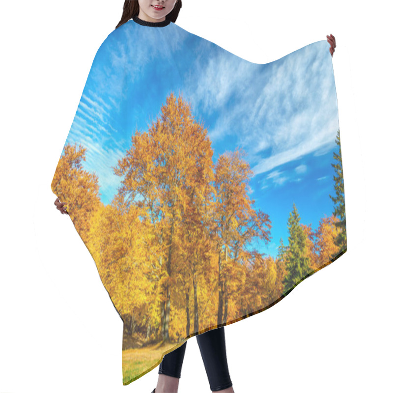 Personality  Autumn Fall  Landscape - Big Yellow Orange Trees In Autumnal Forest, Blue Sky, Sunny Day, Colorful Leaves Hair Cutting Cape