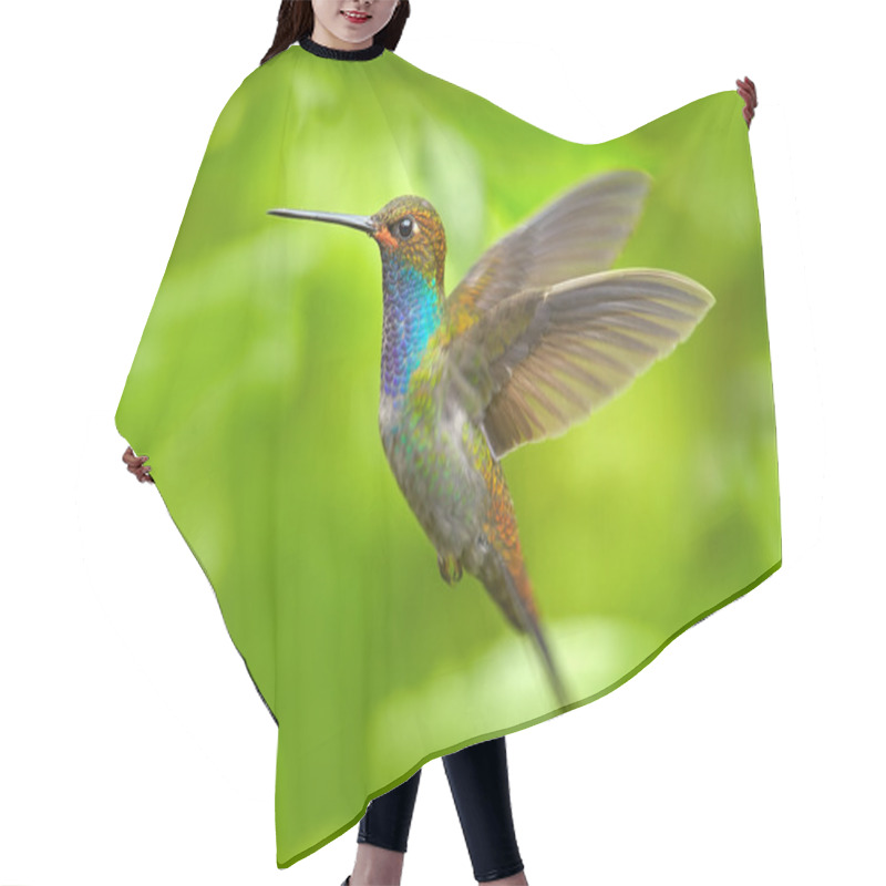 Personality  Hummingbird In Flight, Green Forest Nature Habitat, White-tailed Hillstar Hair Cutting Cape