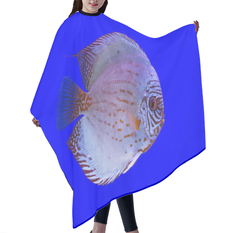 Personality  Pompadour Fish Hair Cutting Cape