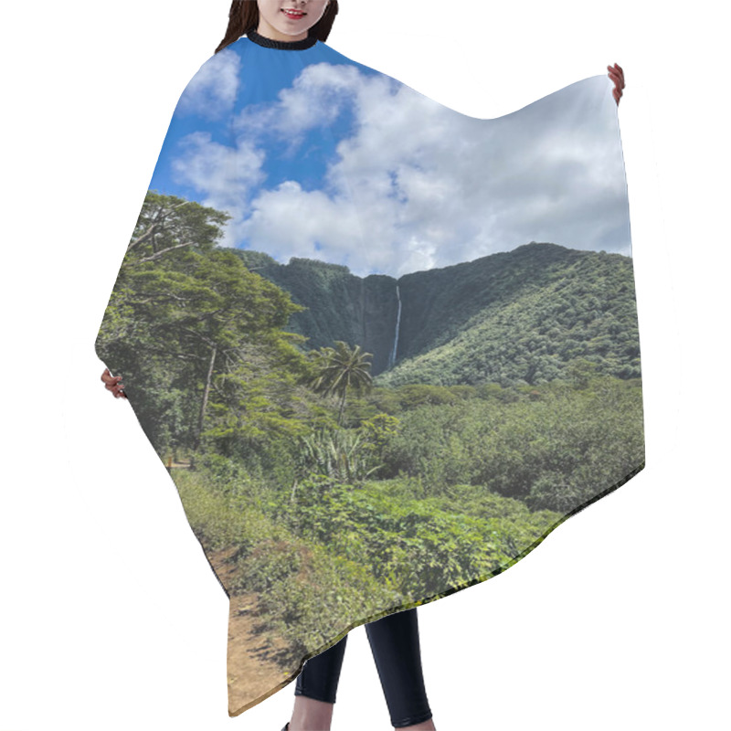 Personality  A Dirt Trail Leads Through The Tropical Forest With A Lush Mountain Waterfall In The Background. There's A Bright Blue Sky And Puffy White Clouds Above. Tropical Palm Trees And Foliage Line The Path. Hair Cutting Cape