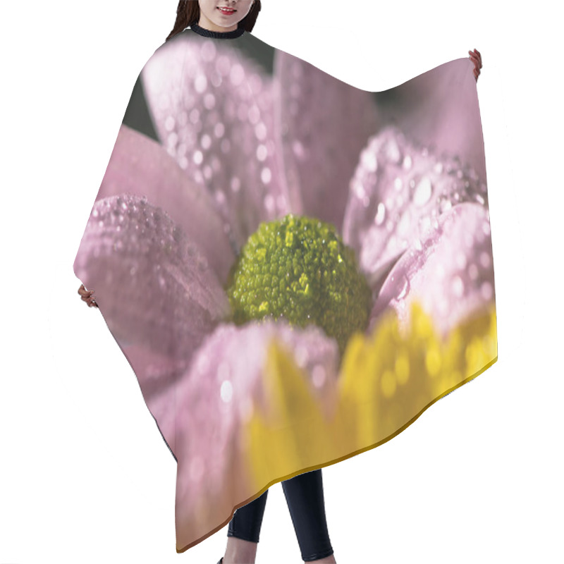 Personality  Close Up View Of Yellow And Violet Daisies With Water Drops Hair Cutting Cape