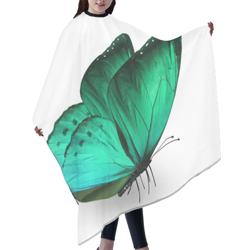 Personality  Green Butterfly , Isolated On White Hair Cutting Cape