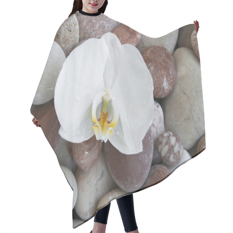 Personality  White Orchid On A Beach Stones Hair Cutting Cape