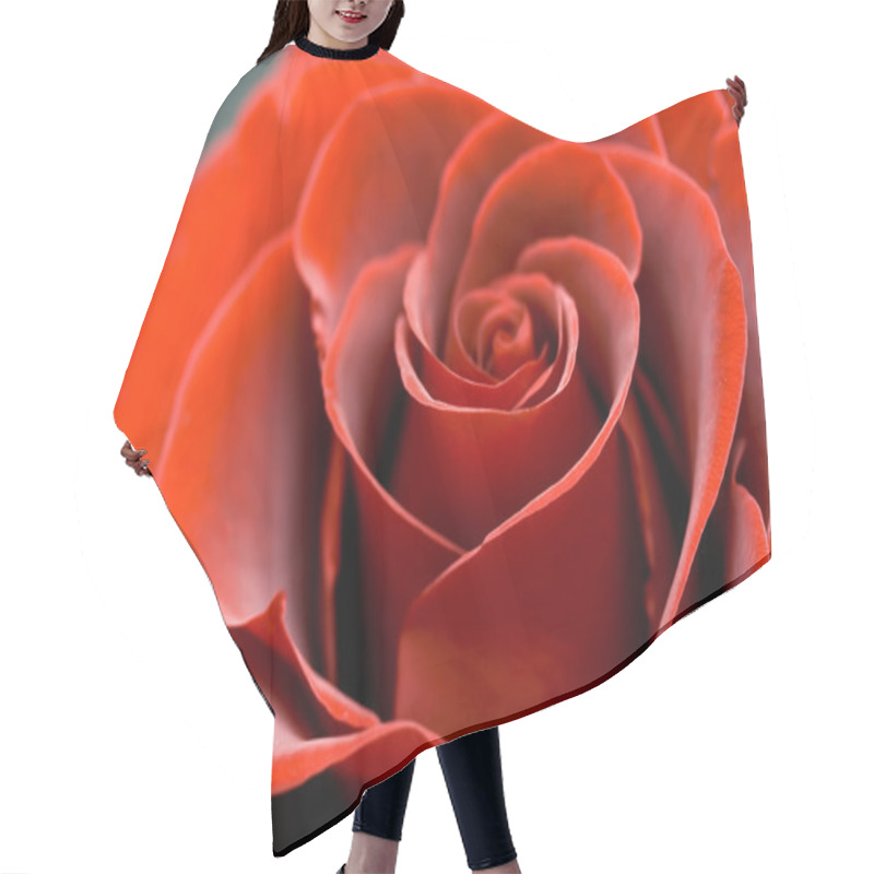 Personality  Red Rose Close Up  Hair Cutting Cape