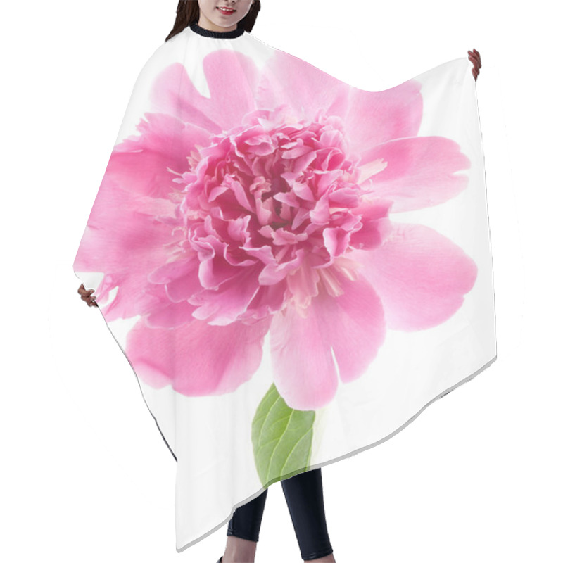 Personality  Peony Flower Isolated On White Hair Cutting Cape