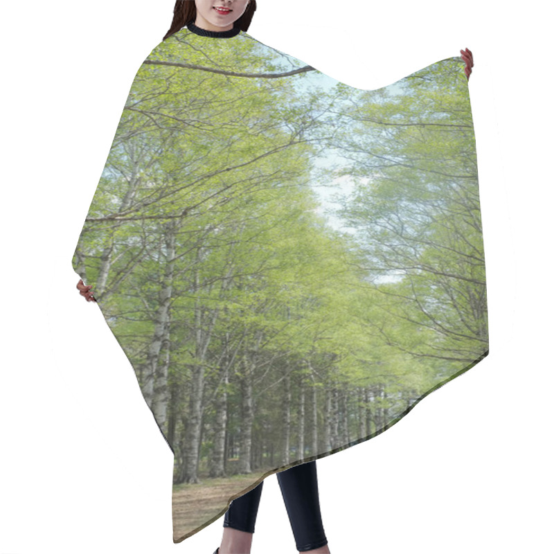 Personality  Tree Lined Street In Japan Hair Cutting Cape