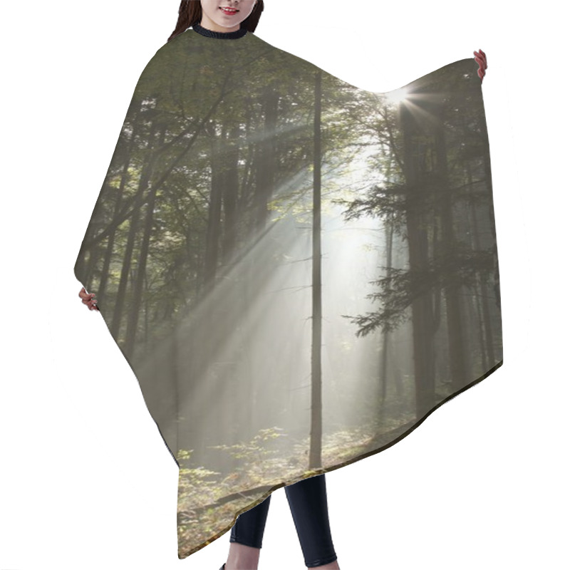 Personality  Sunbeams Falls Into Misty Forest Hair Cutting Cape