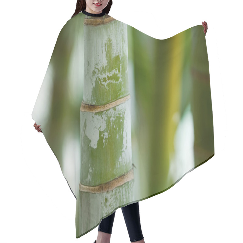 Personality  Bamboo Hair Cutting Cape